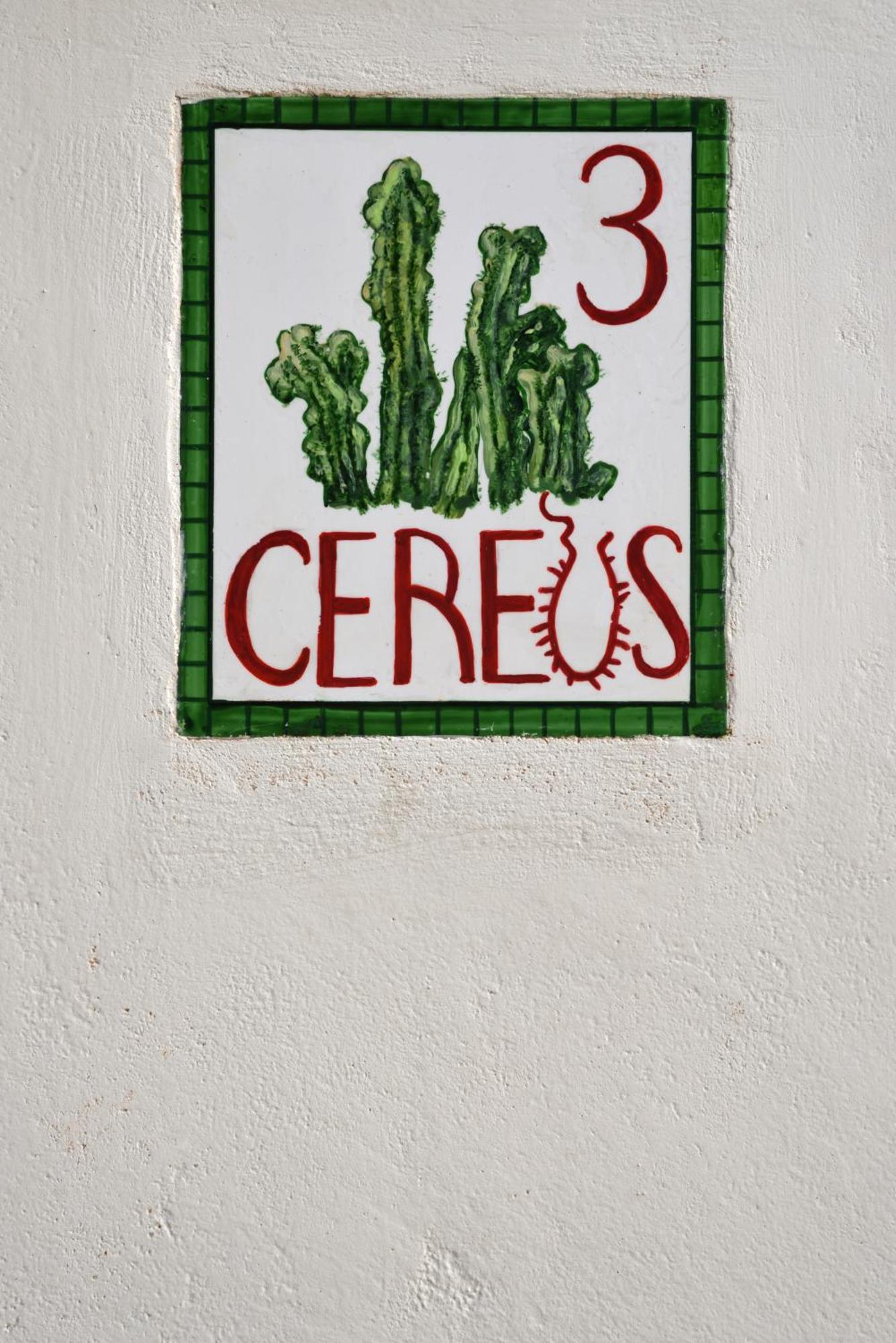 Cactus Hydra - Art Apartments Hidra Quarto foto